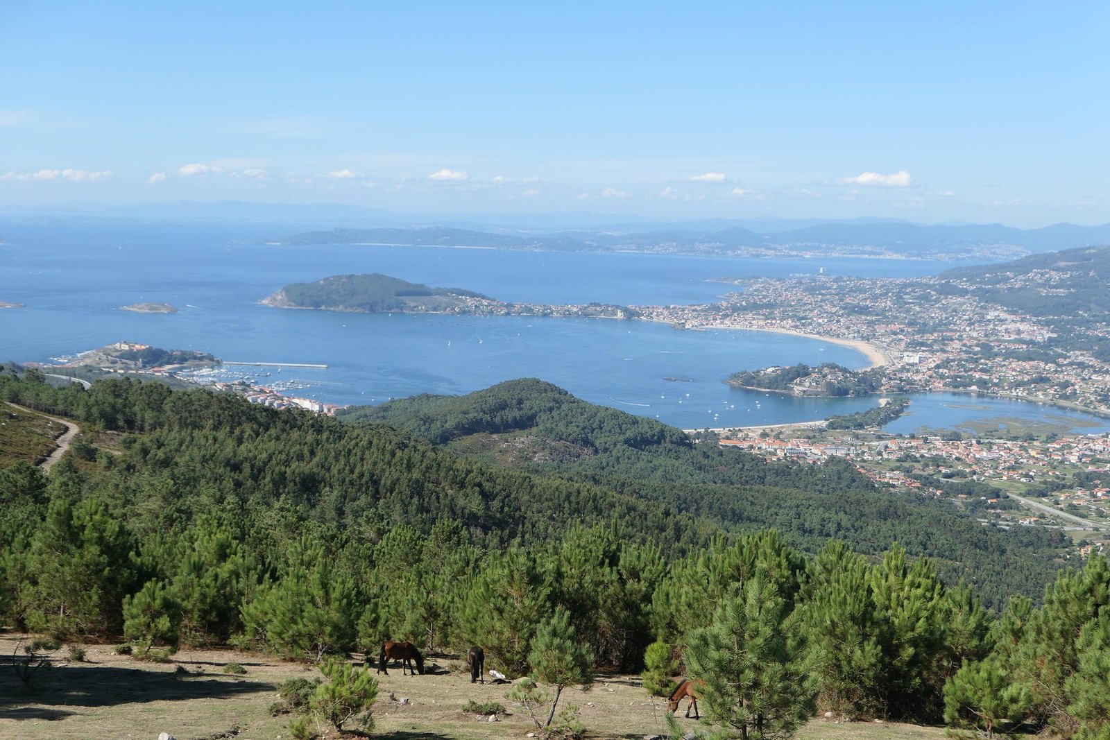 Mirador de O Cortelliño